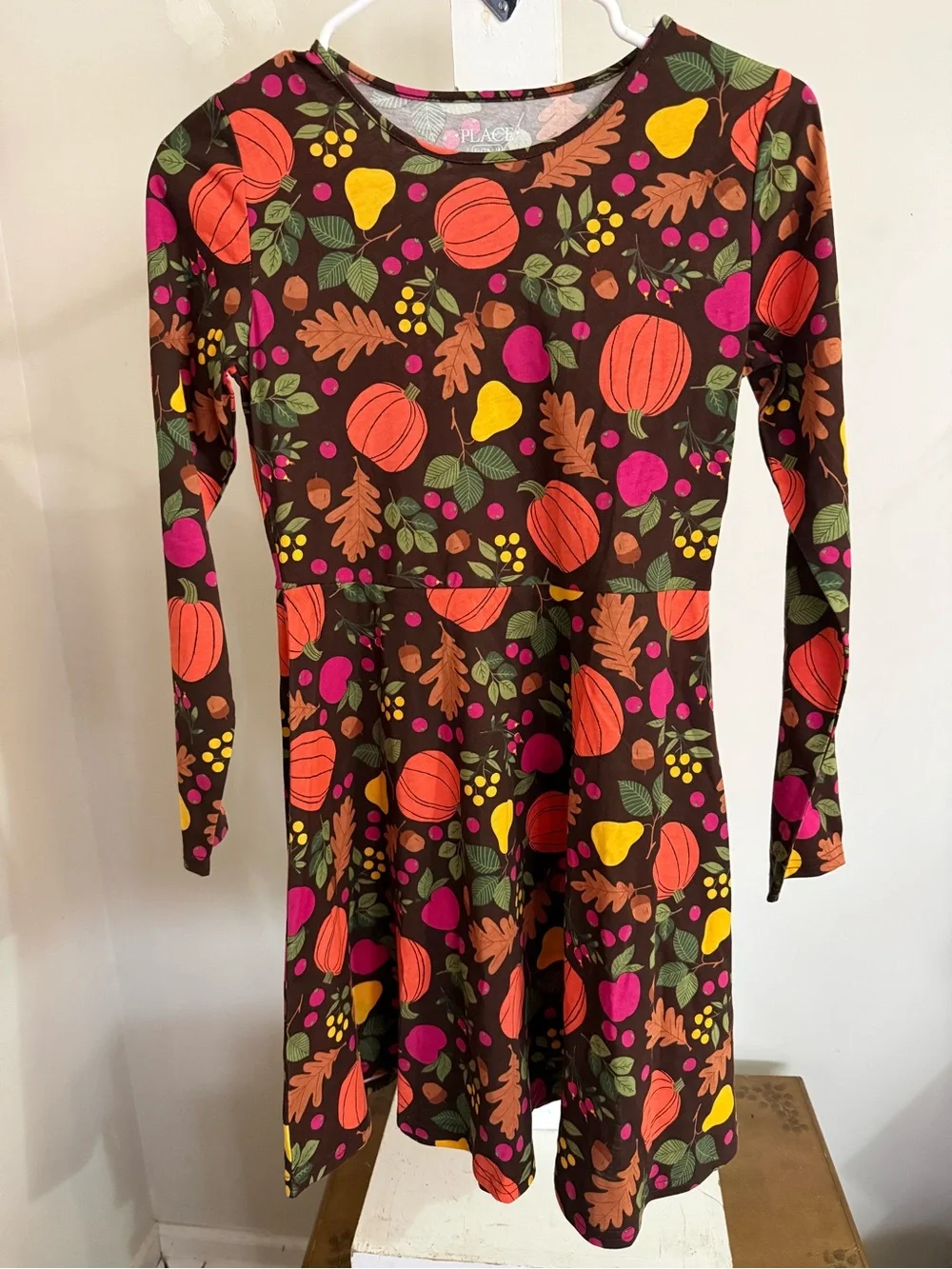 NWT Children’s Place Fall Dress